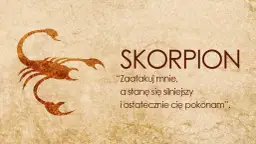Jak postępować ze Skorpionem? Kluczowe porady dla Ciebie