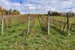 Zator i okolice: Co zwiedzić? Odkryj sekrety Doliny Karpia!