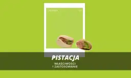 Pistacja chińska: Właściwości i zastosowania w kuchni, które warto znać