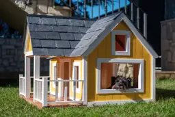 Projekt budy dla psa z przedsionkiem. Uroczy piesek wygląda z okna żółtej chatki z białymi zdobieniami i kamiennym dachem.