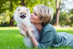 Skuteczne sposoby na kleszcze dla psa - co wybrać, aby chronić pupila