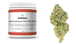 Medyczna marihuana: Gdzie kupić legalnie w Polsce? Przewodnik krok po kroku