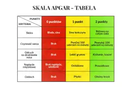 Tabela Skali Apgar: ocena noworodka od 0 do 10 punktów. Kryteria: skóra, czynność serca, odruch, napięcie mięśniowe, oddech.