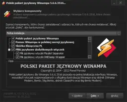 Spolszczenie Winamp - jak łatwo zainstalować polski język i uniknąć problemów