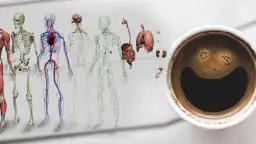 Kawa to narkotyk? Prawda o kofeinie i jej wpływie na mózg