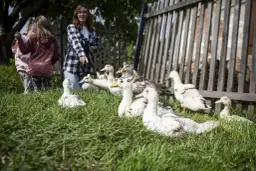 Jak skutecznie pozyskać środki na agroturystykę i uniknąć błędów