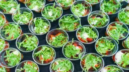 Jak otworzyć catering: kluczowe kroki, aby uniknąć błędów i kosztów