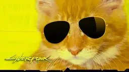 Cyberpunk kot: nietypowy przewodnik po adopcji futurystycznego przyjaciela