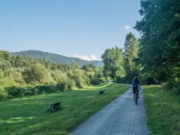 Kobieta jedzie rowerem po ścieżce rowerowej Wisła Ustroń. W tle zielone wzgórza i drzewa.