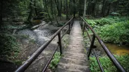 Rezerwaty przyrody Świętokrzyskie – Odkryj ich piękno i tajemnice