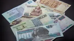 Egipskie funty, od 1 do 200, leżą na czarnym tle. Planujesz podróż i zastanawiasz się, jakie dolary do Egiptu? Lepiej zabrać funty!