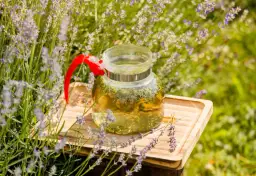 Jak zrobić herbatę z lawendy, aby cieszyć się jej wyjątkowym smakiem