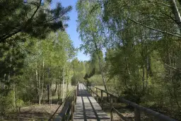 Rezerwat przyrody Jata: Odkryj tajemnice unikalnej natury i historii