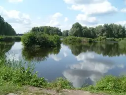 Łowisko Bolimów - idealne miejsce na wędkowanie i relaks w naturze