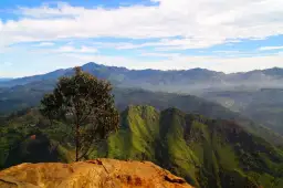 Sri Lanka kiedy jechać - uniknij tłumów i ciesz się słońcem