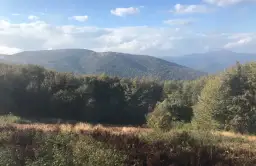 Gdzie na spacer z psem w Podkarpackiem? Odkryj najlepsze miejsca