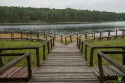 Wdzydze: Drapieżniki, zezwolenia, miejscówki. Czy warto jechać?