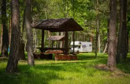 Najlepsze pola namiotowe nad jeziorem w Śląsku – sprawdź oferty i atrakcje