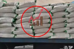 Ile kosztuje nawóz saletrzak? Ceny, które zaskoczą rolników w 2025 roku