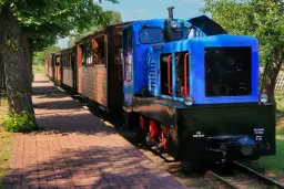 Najciekawsze atrakcje w Hajnówce, które musisz zobaczyć