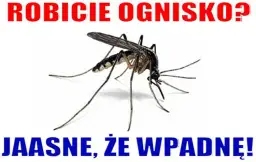 Śmieszne kawały o komarze, które rozbawią każdego i poprawią humor