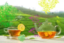 Jak parzyć herbatę? Sekrety idealnego smaku i aromatu