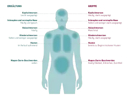 Symptome aktuelle Grippe: So erkennen Sie die gefährlichen Anzeichen