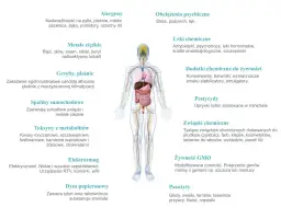 Zanieczyszczony organizm objawy: Jak rozpoznać toksyczne sygnały?