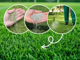 Ile polifoski na trawnik? Odpowiednie dawkowanie dla zdrowego trawnika