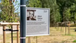 Albert Camus - jego życie, filozofia i wpływ na literaturę