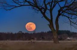 Jak zrobić zdjęcie Księżyca iPhonem, aby uzyskać niesamowite efekty