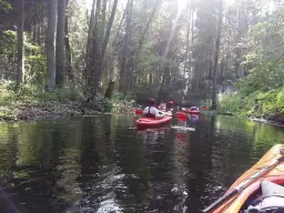 Spływ kajakowy Olsztyn: Trasy, Ceny i Poradnik Organizacyjny