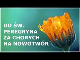 Modlitwa do świętego, który uzdrawia z raka – jak prosić o pomoc?
