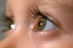 Zbliżenie na ludzkie oko z zieloną tęczówką i długimi rzęsami.