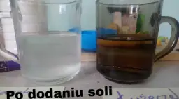 Zaskakujące efekty eksperymentu z ziemniakiem i solą w osmozie