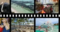 Jak pozować do zdjęć na wakacjach? Odkryj sekrety naturalności!