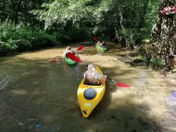 Spływ kajakowy Krasnobród: Trasy, ceny i atrakcje Roztocza