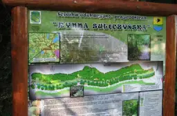 Najciekawsze atrakcje w Sulęczynie, które musisz zobaczyć