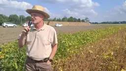 Dopłaty do soi: Jakie są najnowsze zmiany i co warto wiedzieć?