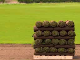 Ile ziemi pod trawnik 100m2? Oblicz potrzebną ilość i uniknij błędów