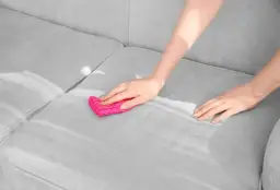 Skuteczne sposoby na to, jak wyprać kanapę z moczu i usunąć zapach
