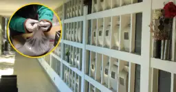 Co się dzieje z ciałem podczas kremacji? Zaskakujące fakty i procesy