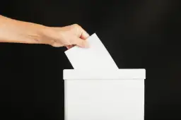 Demokracja bezpośrednia i pośrednia - kluczowe różnice i przykłady