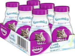 Jakie mleko dla kota będzie bezpieczne: najlepsze i szkodliwe rodzaje