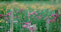 Piękny wianek na drzwi: Jak zrobić i powiesić? Krok po kroku