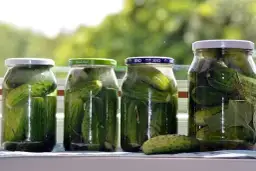 Jakie przyprawy do ogórków konserwowych, by uzyskać idealny smak?