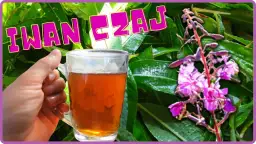 Jak zrobić idealny czaj z herbaty – prosty przepis i wskazówki dla smaku