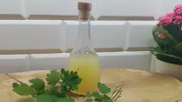 Balsam Bołotowa na co pomaga - odkryj jego niezwykłe właściwości zdrowotne