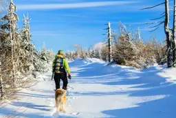 Gdzie z psem w góry Zakopane - najlepsze miejsca na spacery z psem