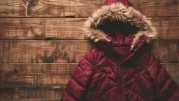 Kurtka budrysówka - Modna i praktyczna kurtka na chłodne dni